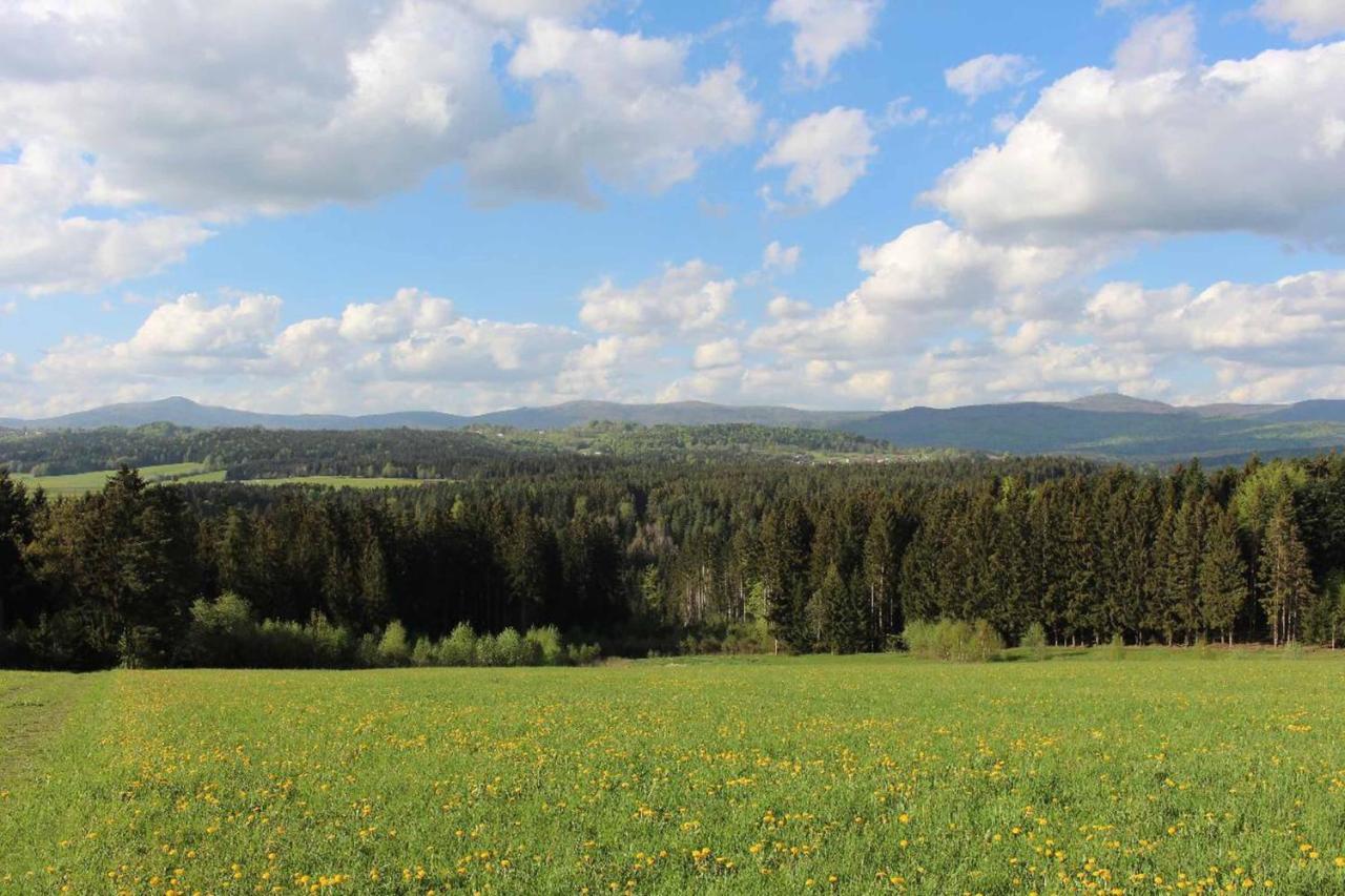 Landhotel Kleblmuehle Графенау Экстерьер фото
